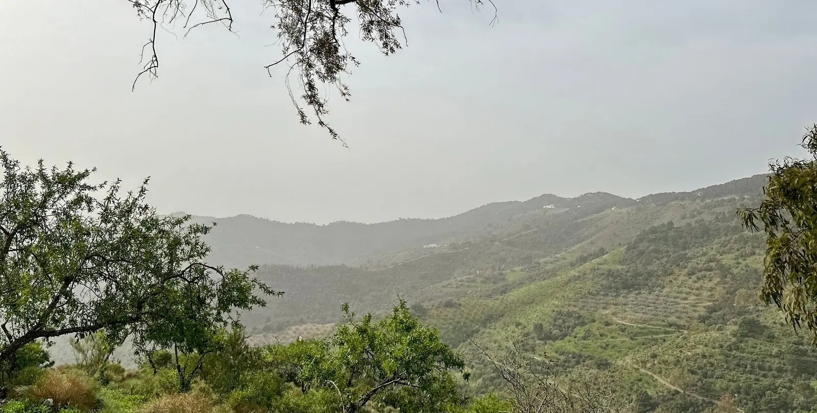Venta de finca - cortijo en Pinares de San Antón 2