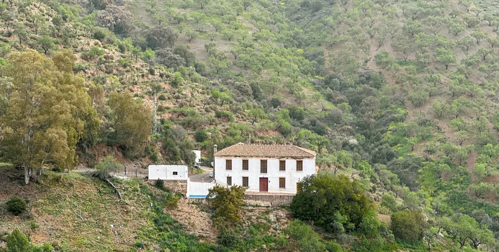 Venta de finca - cortijo en Pinares de San Antón 3