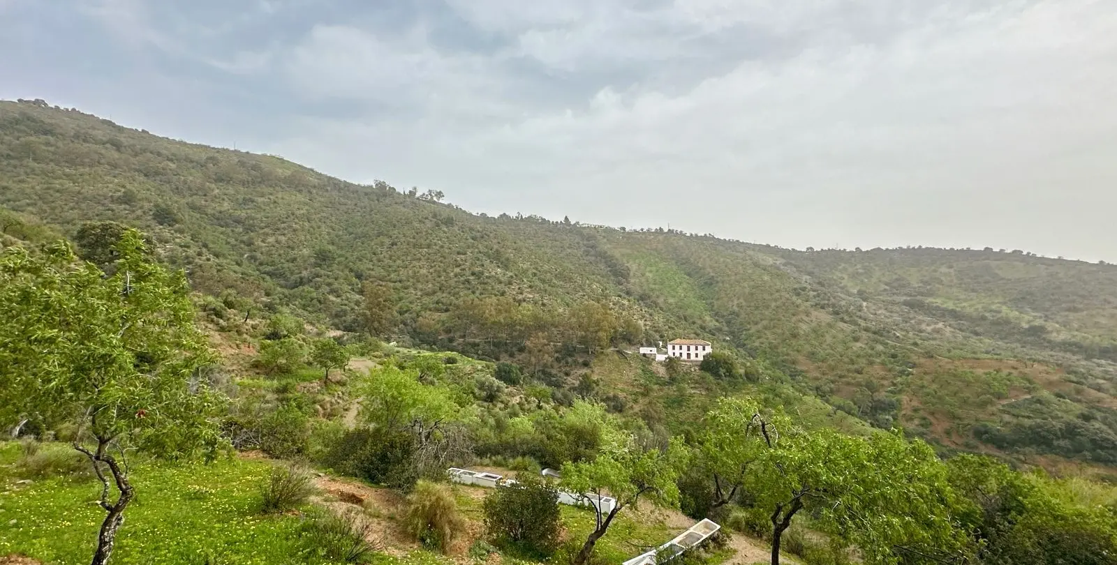 Venta de finca - cortijo en Pinares de San Antón 4