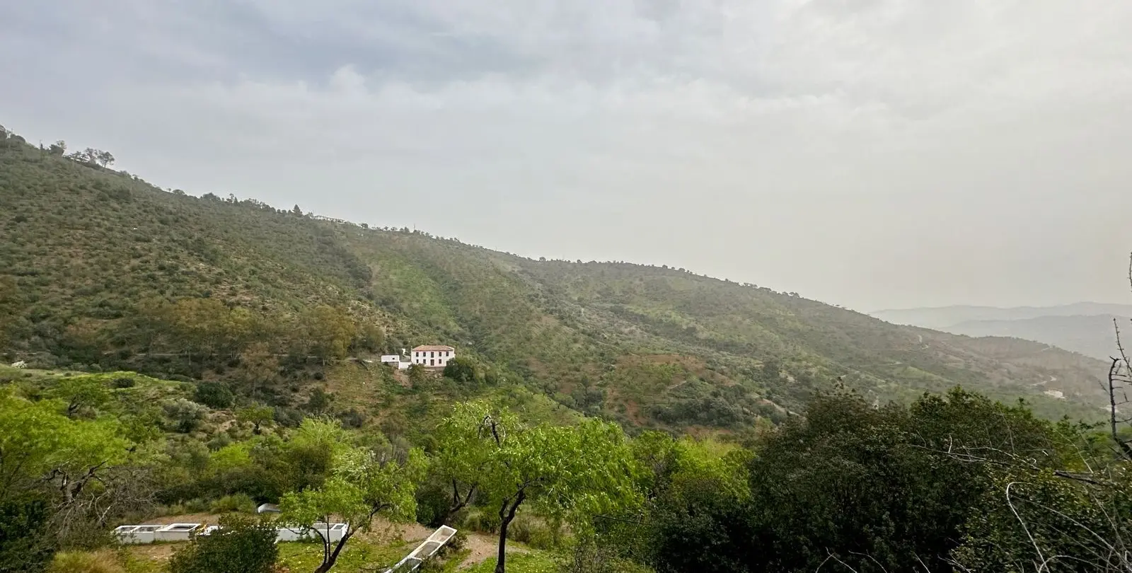 Venta de finca - cortijo en Pinares de San Antón 5