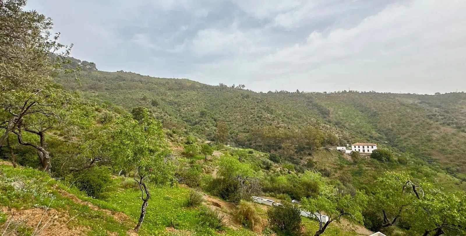 Venta de finca - cortijo en Pinares de San Antón 6