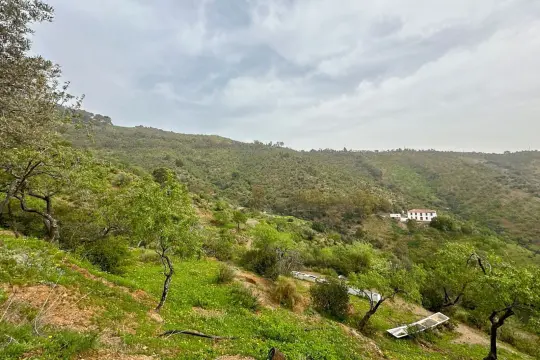 Image 6 thumb