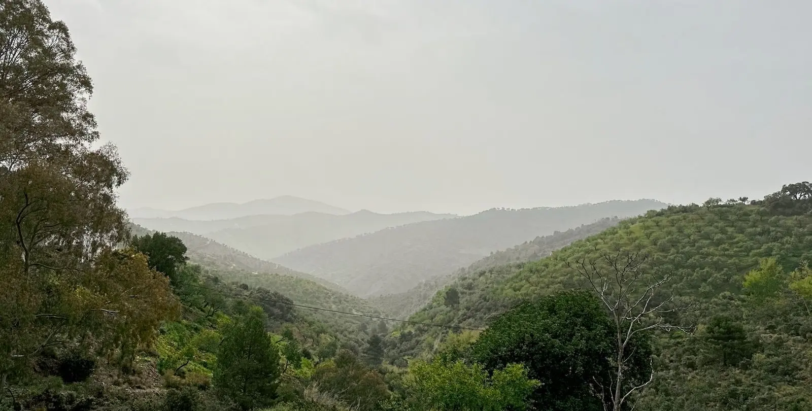 Venta de finca - cortijo en Pinares de San Antón 14