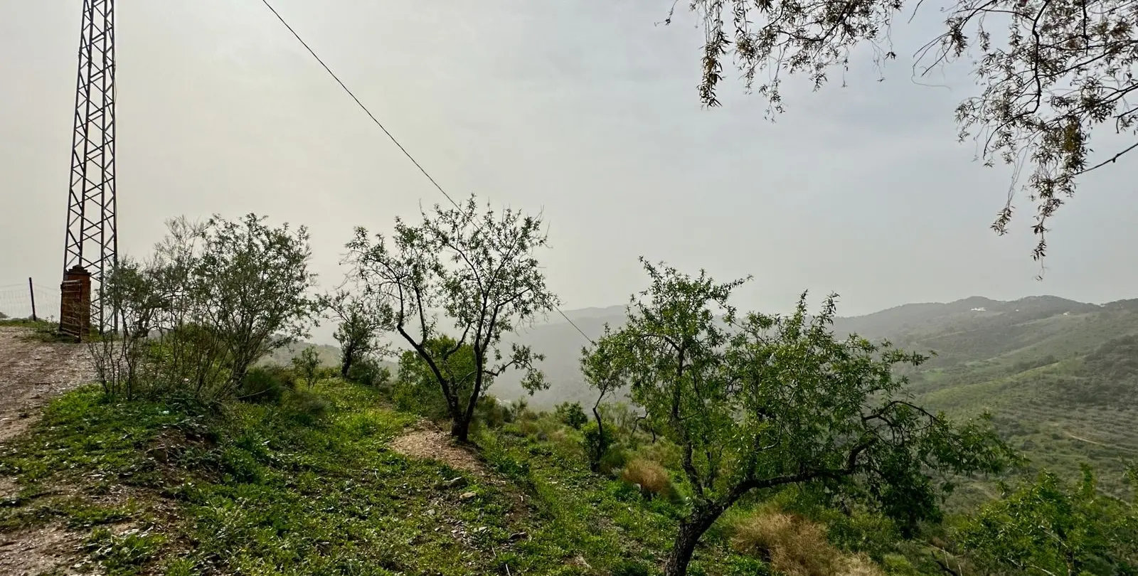 Venta de finca - cortijo en Pinares de San Antón 34