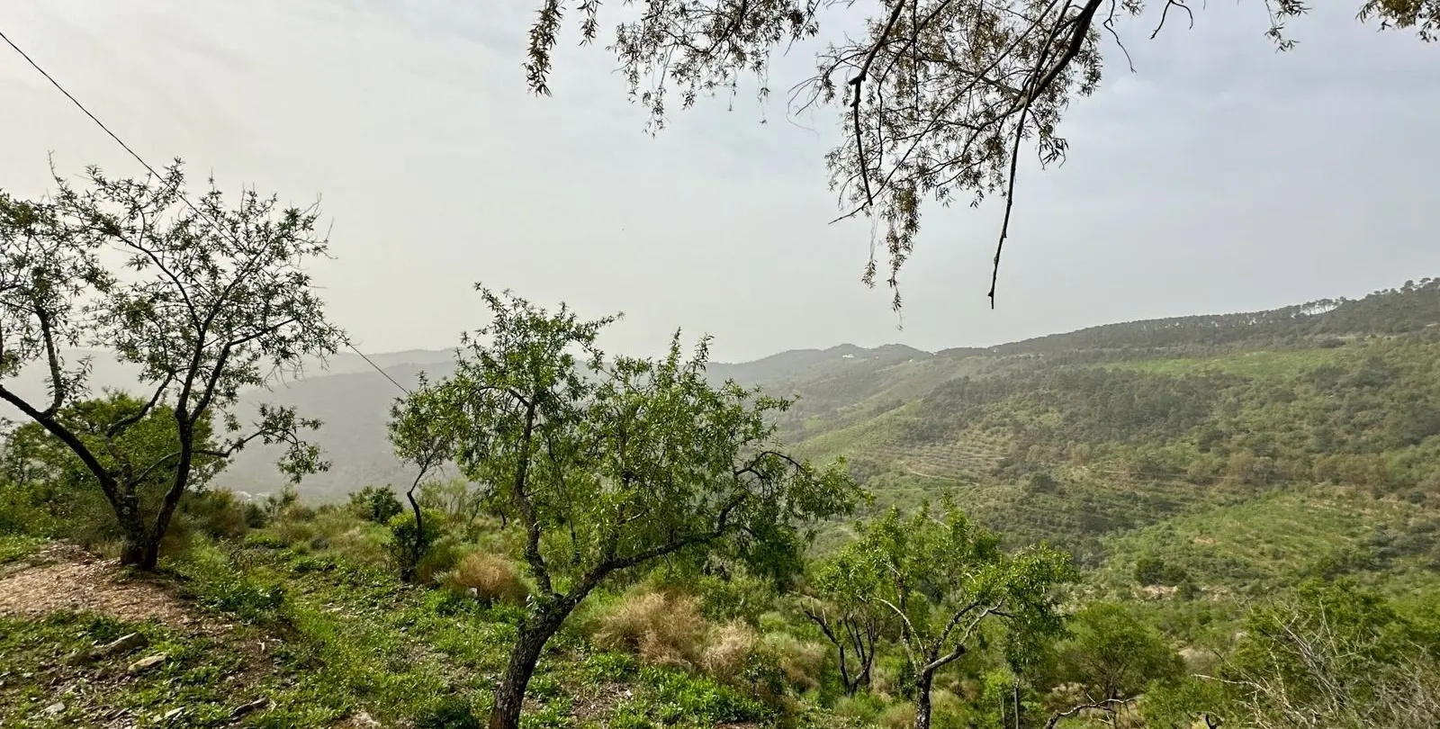 Venta de finca - cortijo en Pinares de San Antón 45