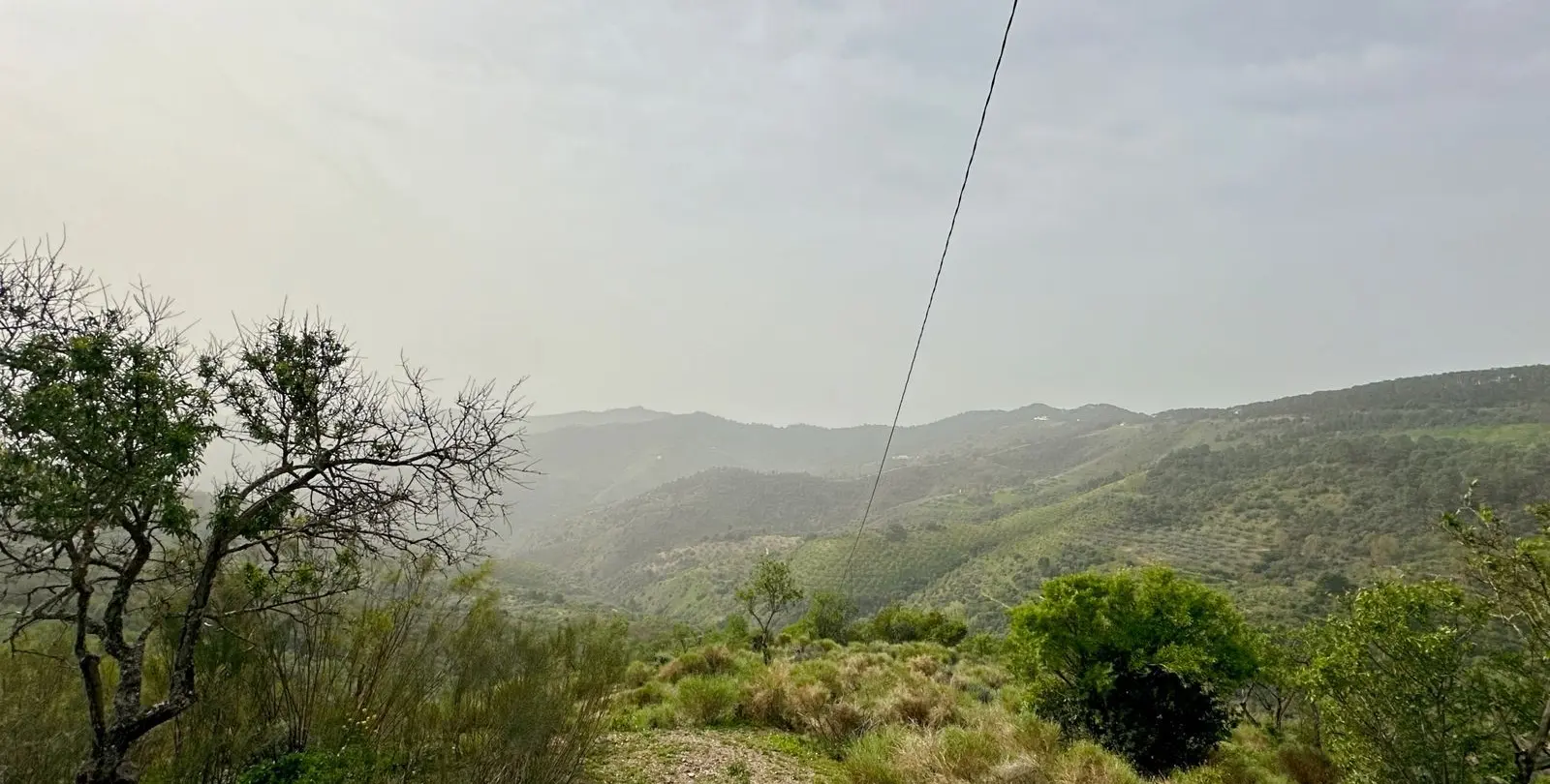 Venta de finca - cortijo en Pinares de San Antón 56