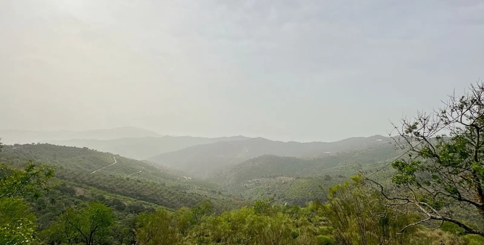 Venta de finca - cortijo en Pinares de San Antón 67