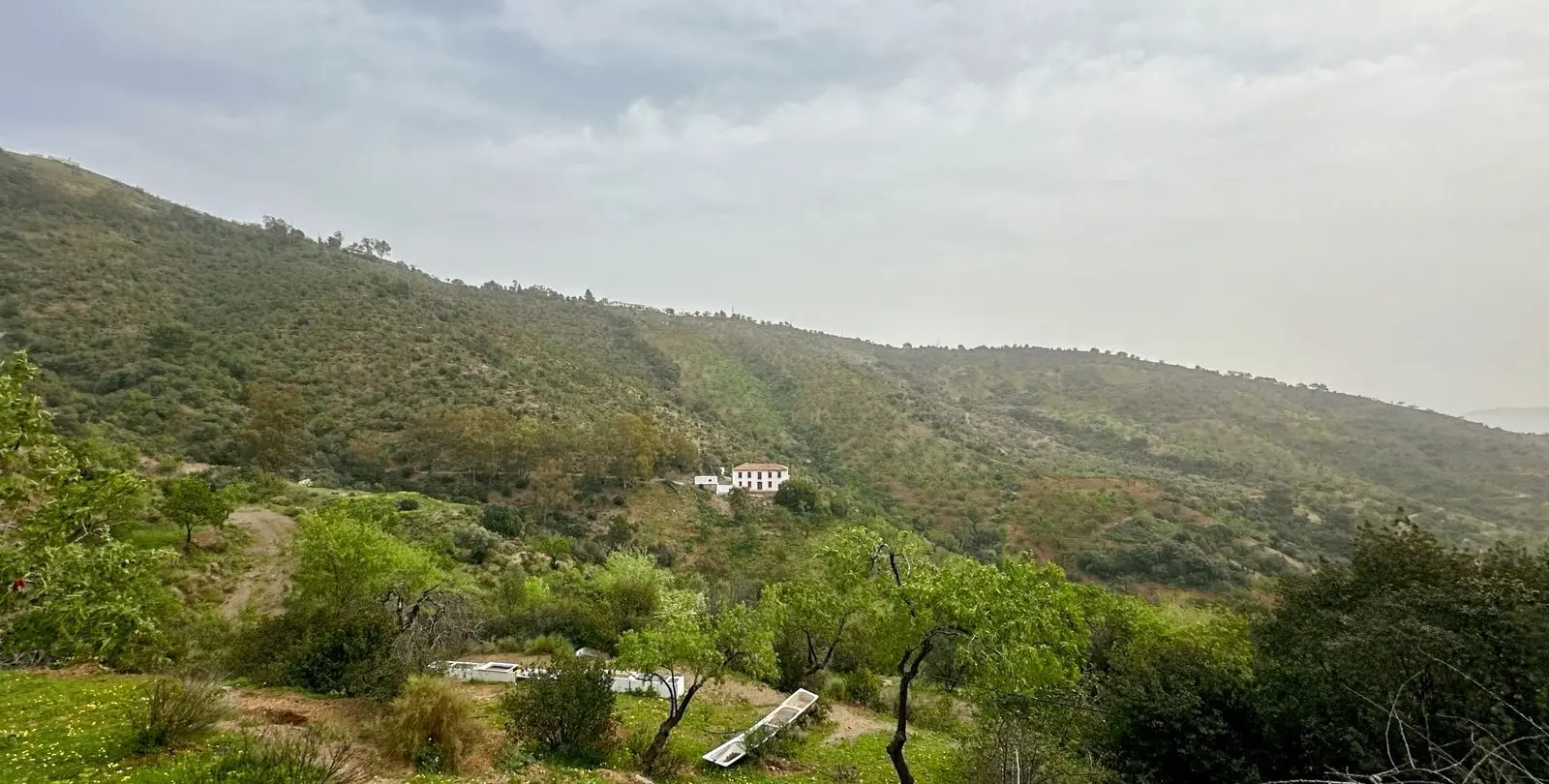 Venta de finca - cortijo en Pinares de San Antón 78