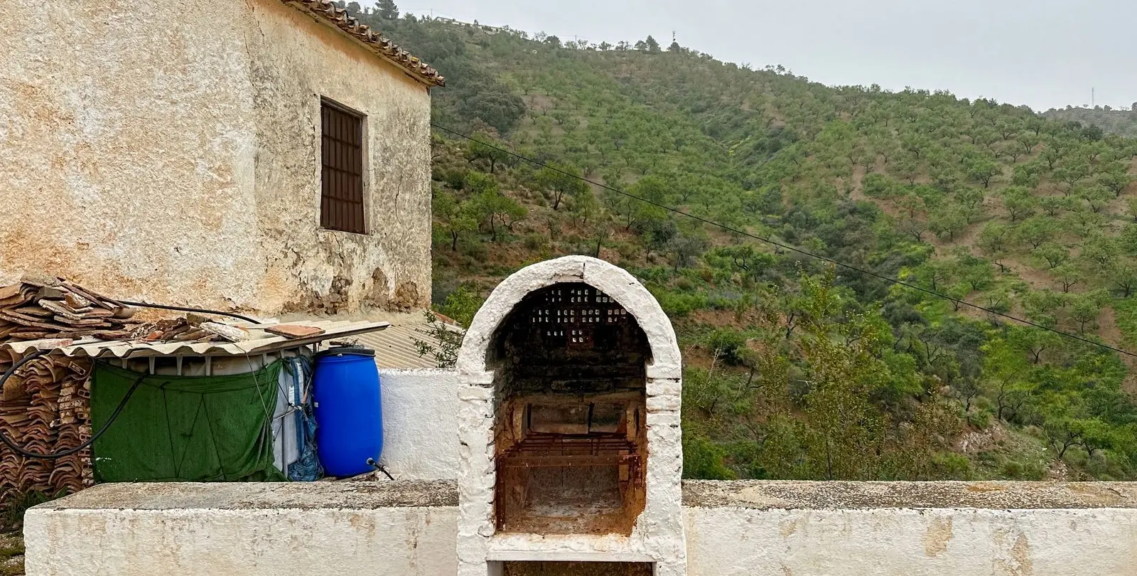Venta de finca - cortijo en Pinares de San Antón 84