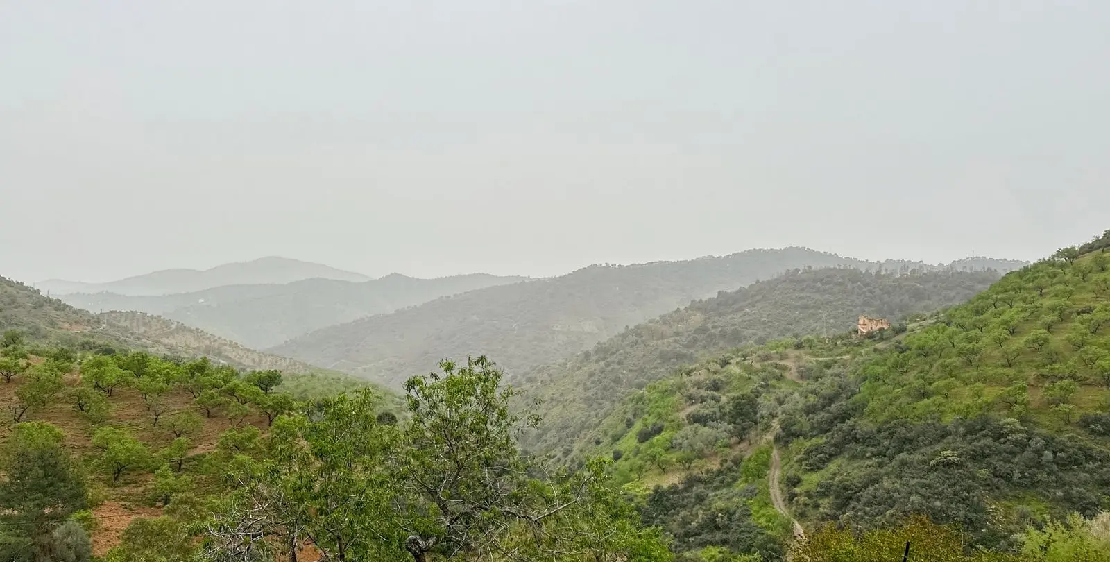 Venta de finca - cortijo en Pinares de San Antón 85