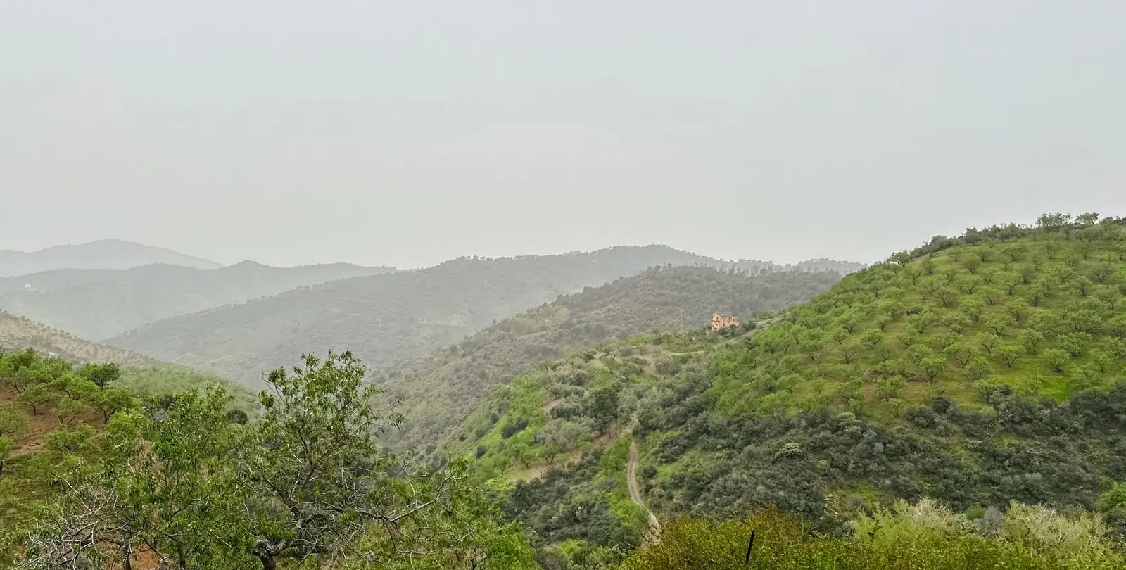 Venta de finca - cortijo en Pinares de San Antón 86