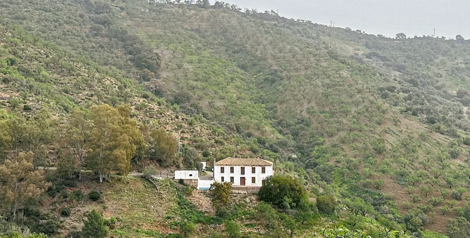 Venta de finca - cortijo en Pinares de San Antón 89