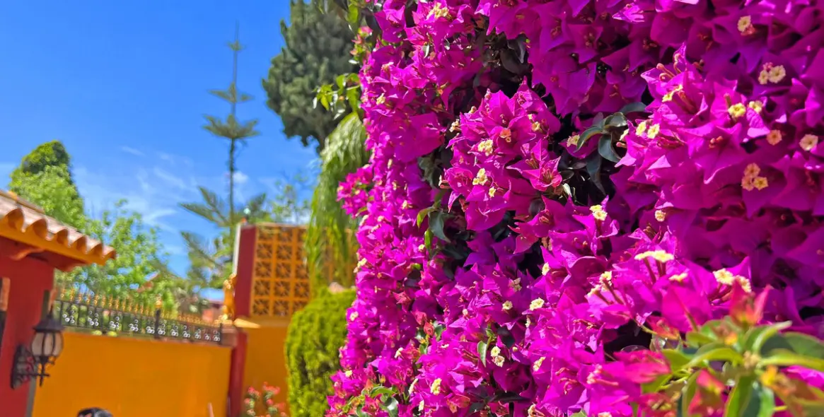 Продажа  отдельно стоящей виллы в Reserva de Marbella 35