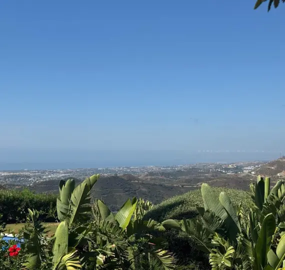 Продажа  отдельно стоящей виллы в Istán