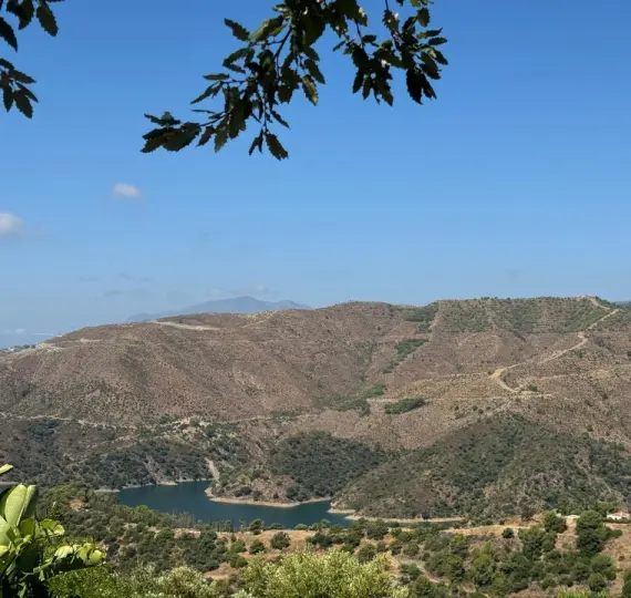 Продажа  отдельно стоящей виллы в Istán