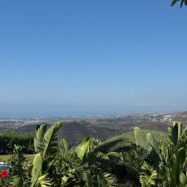 Sale of detached villa in Istán