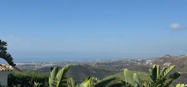 Sale of detached villa in Istán 2