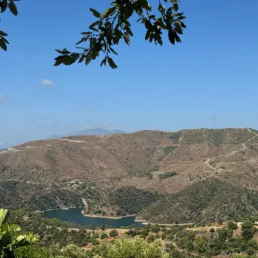 Sale of detached villa in Istán