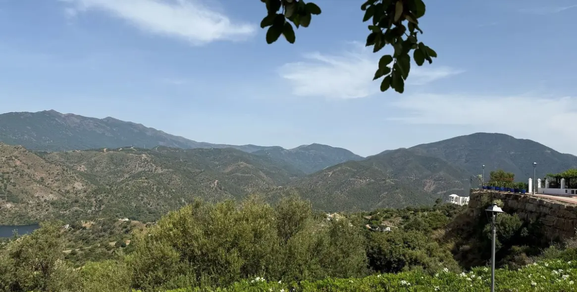 Sale of detached villa in Istán 49