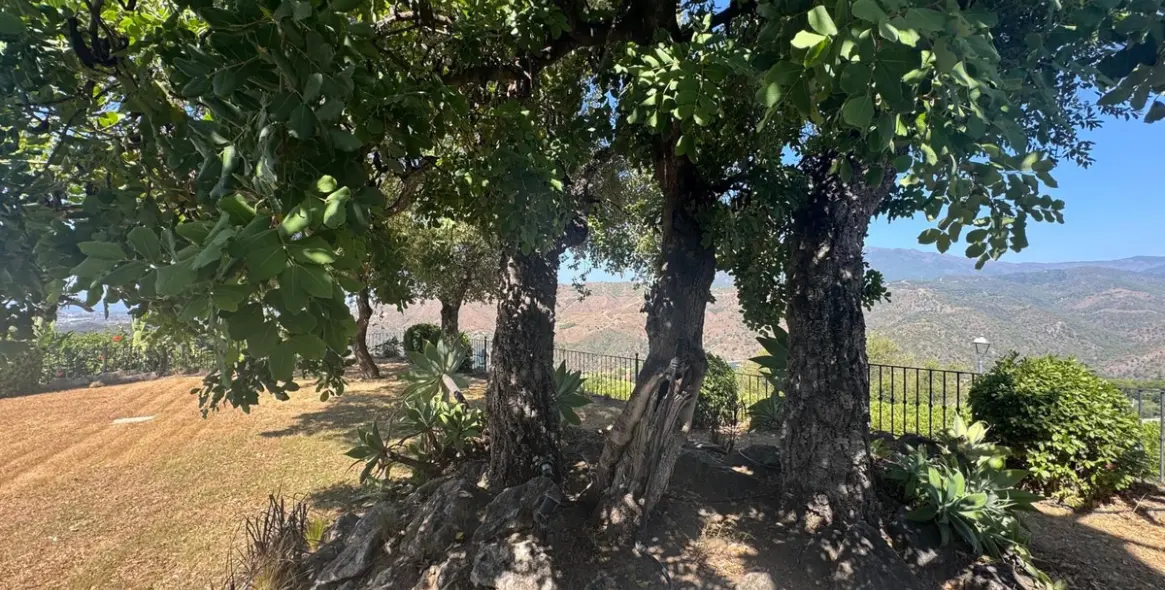 Sale of detached villa in Istán 51