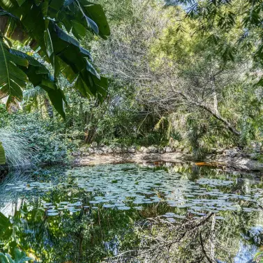 Venta de ático dúplex en Guadalmina Baja