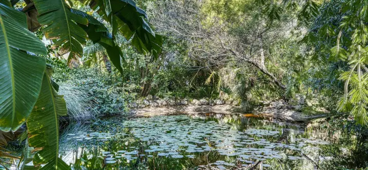 Venta de ático dúplex en Guadalmina Baja 3