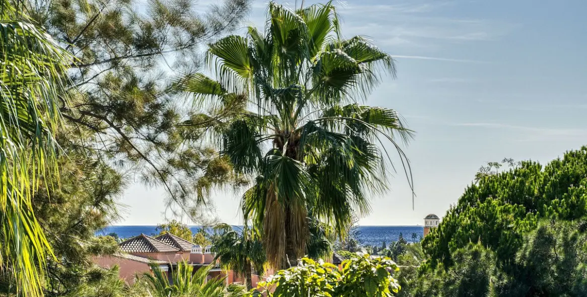 Продажа двухуровневого пентхауса в Guadalmina Baja 44