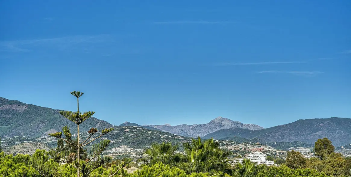 Продажа двухуровневого пентхауса в Guadalmina Baja 46