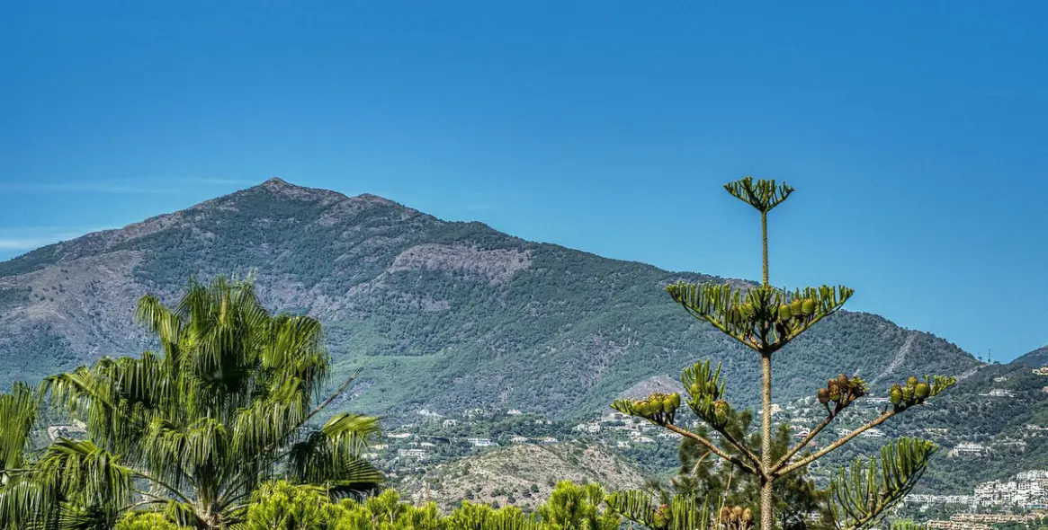 Продажа двухуровневого пентхауса в Guadalmina Baja 48