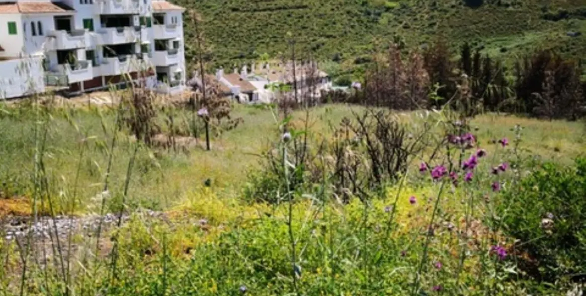 Продажа  жилого участка в Manilva (район Manilva) 1