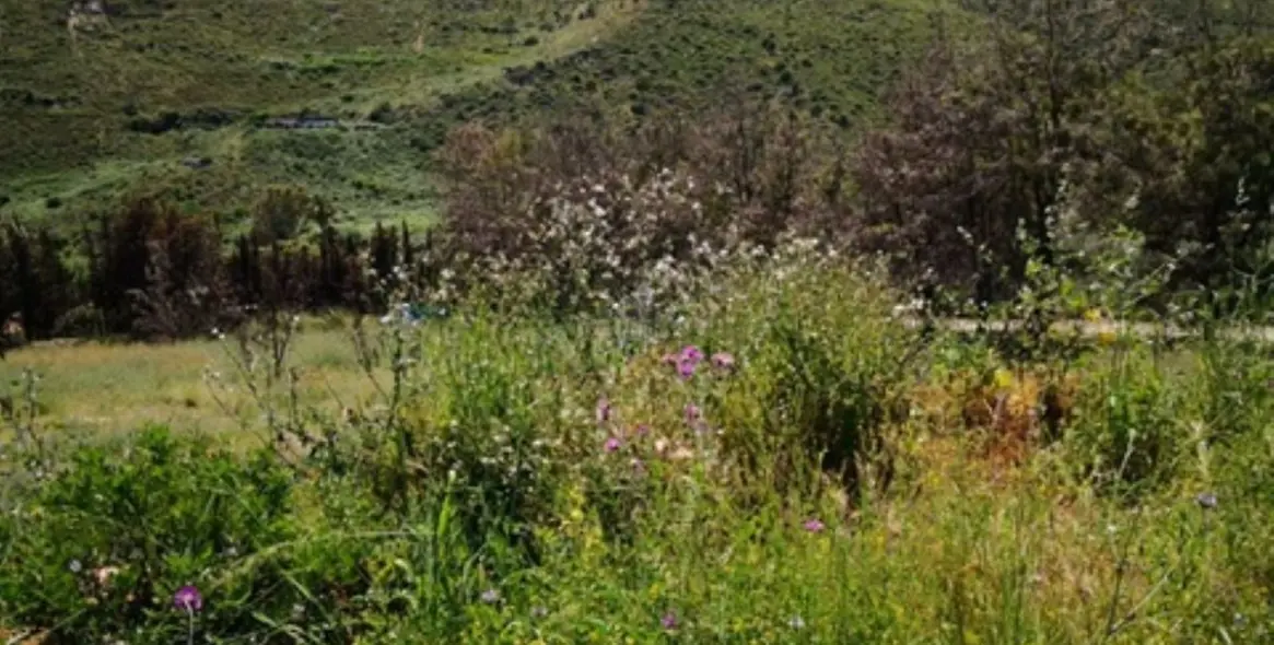 Продажа  жилого участка в Manilva (район Manilva) 2