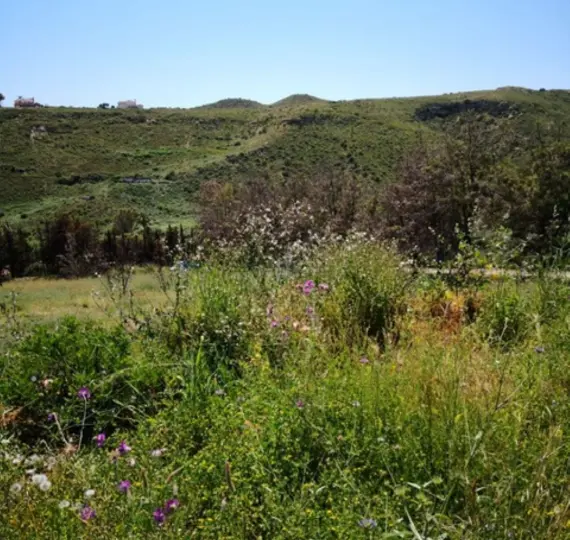 Parcela residencial R4114876