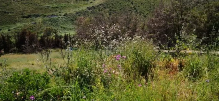 Parcela residencial R4114876 1