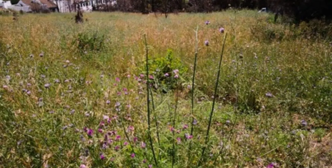 Продажа  жилого участка в Manilva (район Manilva) 3