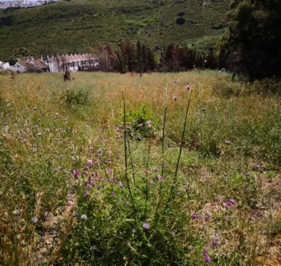 Parcela residencial R4114876