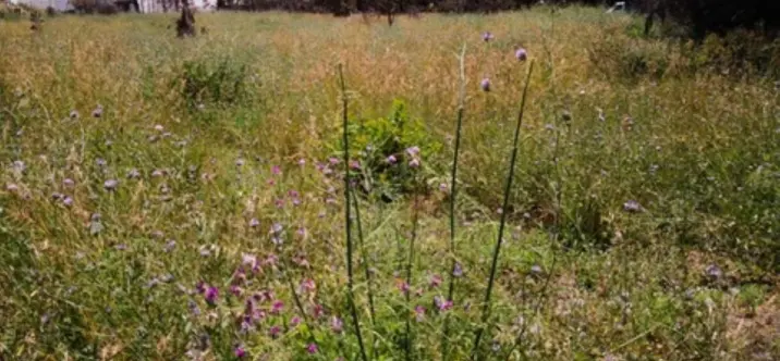 Parcela residencial R4114876 2