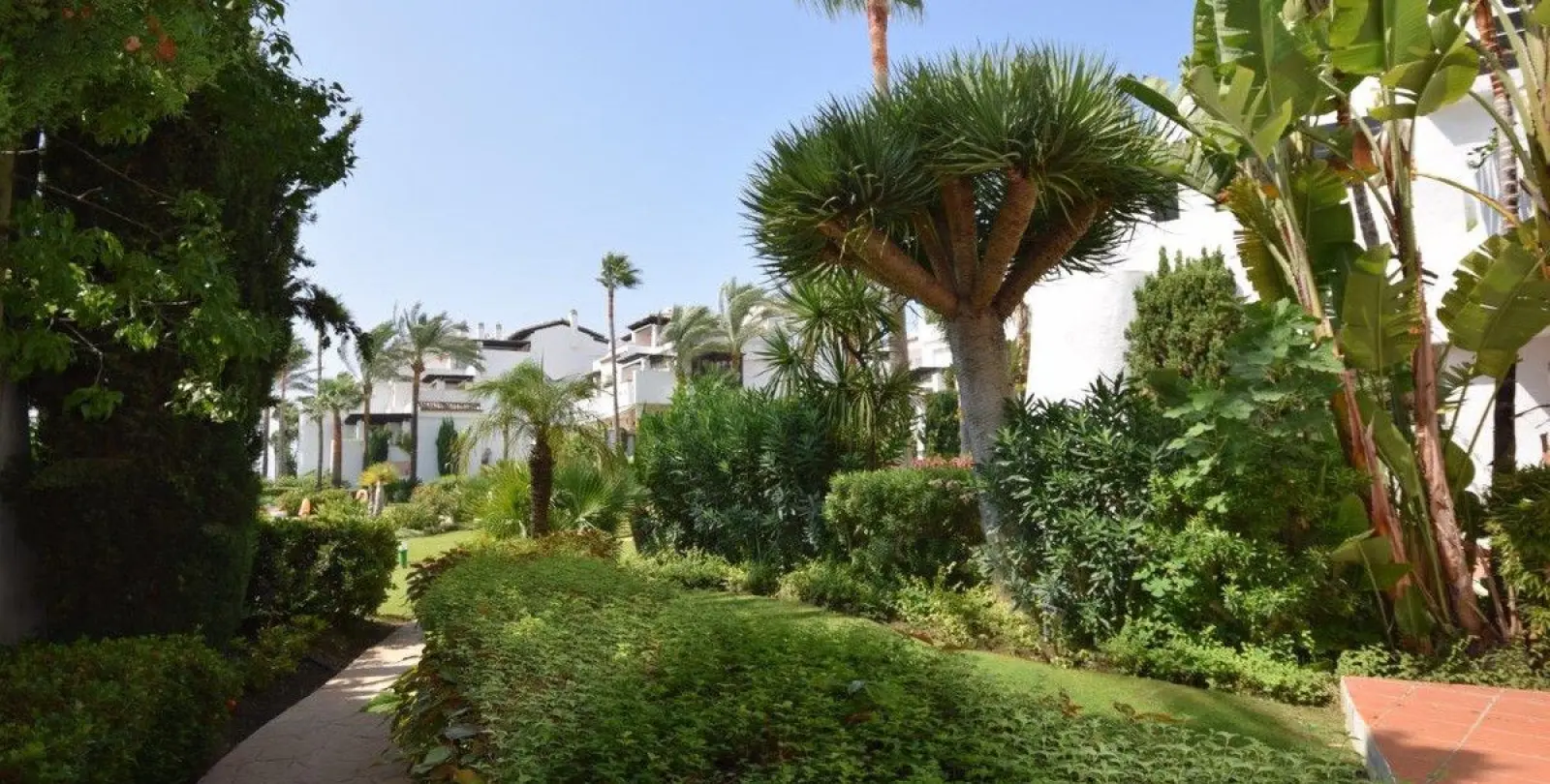 Venta de apartamento en planta media en Costalita 24