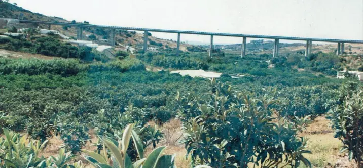 Venta de parcela residencial en Estepona 1