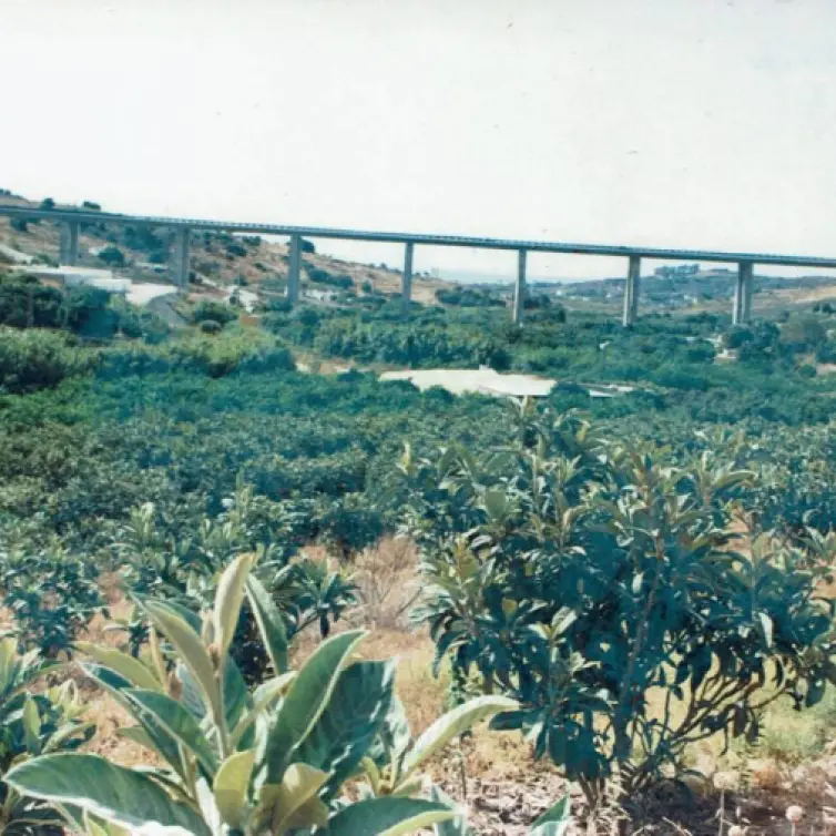 Sale of residential plot in Estepona