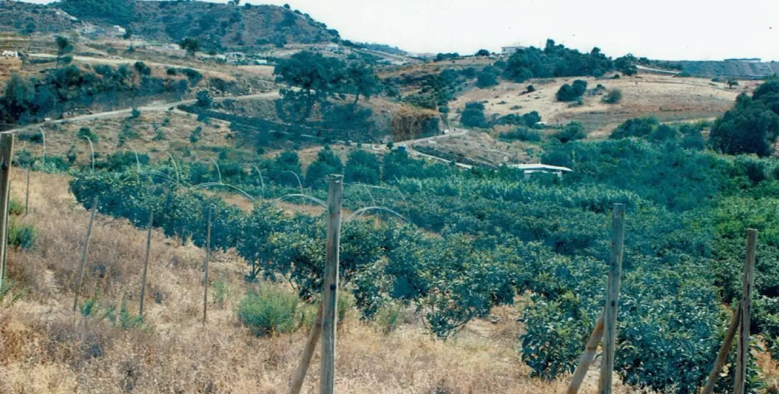 Sale of residential plot in Estepona 3