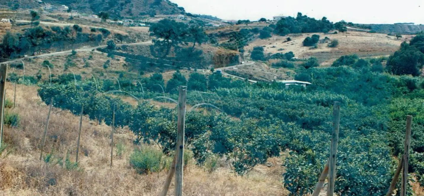 Sale of residential plot in Estepona 2