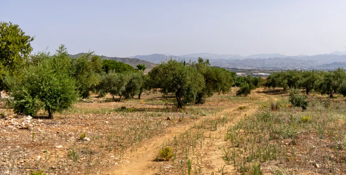 Продажа  жилого участка в Malaga (район Provincia de Málaga) 1