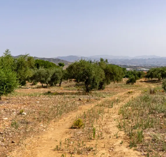 Жилой участок R3221725