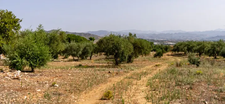 Жилой участок R3221725 0