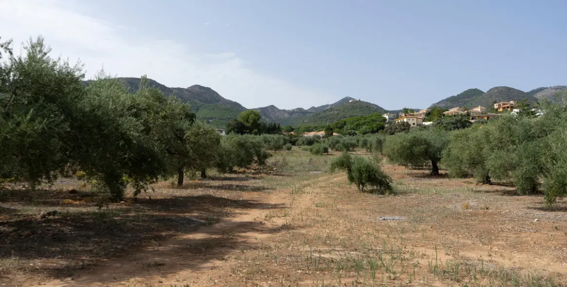 Продажа  жилого участка в Malaga (район Provincia de Málaga) 2