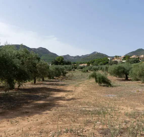 Жилой участок R3221725