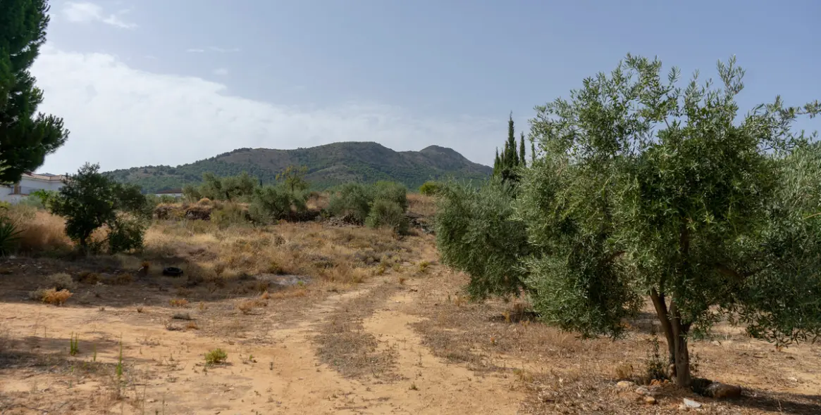 Продажа  жилого участка в Malaga (район Provincia de Málaga) 3