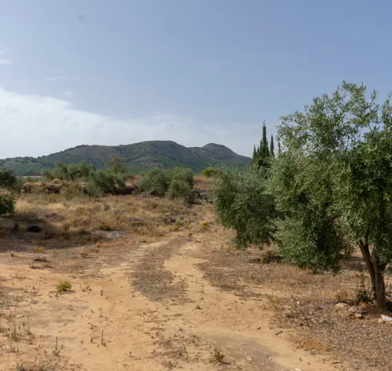 Жилой участок R3221725