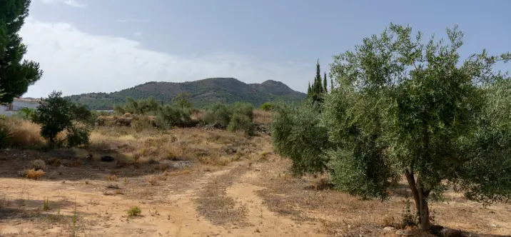 Жилой участок R3221725 2