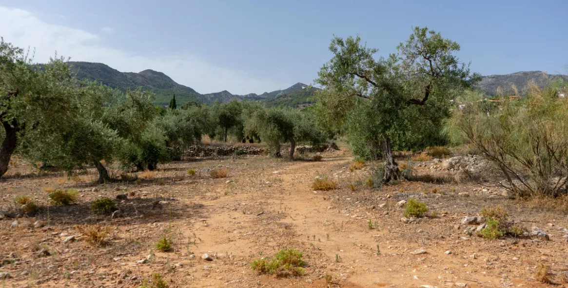 Продажа  жилого участка в Malaga (район Provincia de Málaga) 4